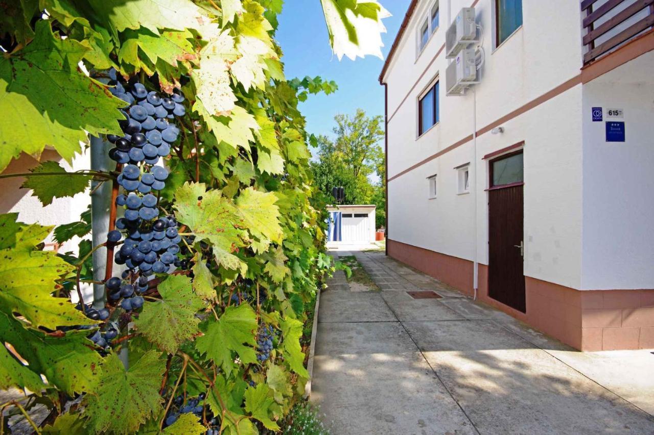 Apartments In Sabunike/Zadar Riviera 7812 Нин Екстериор снимка